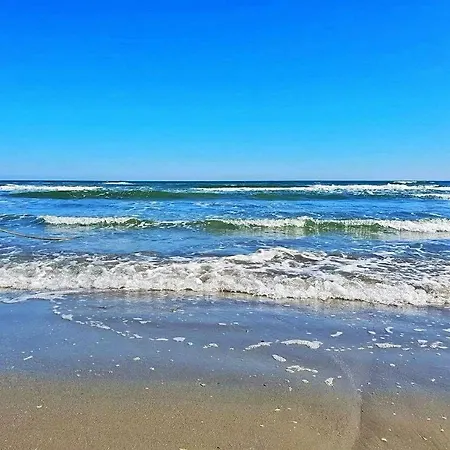 Blue Sea